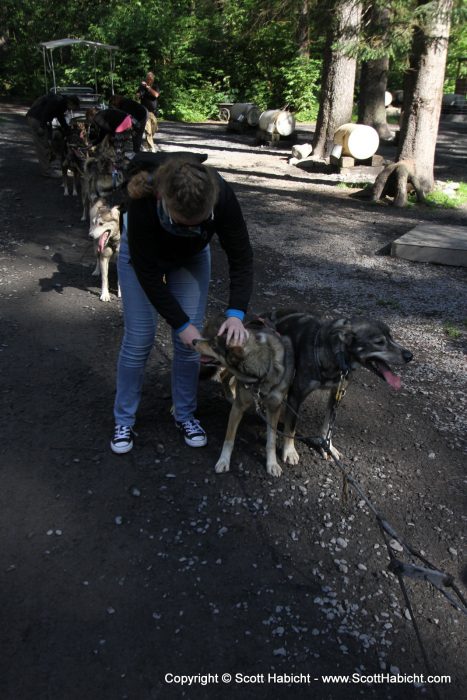 Molly loved the dogs!!!