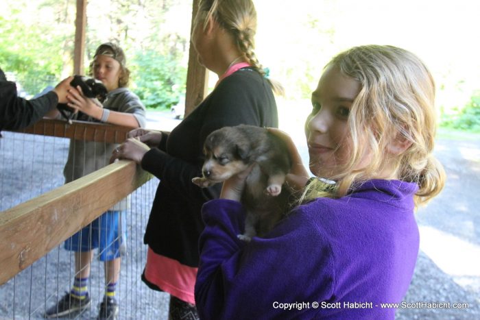 Of course, there were puppies, too.