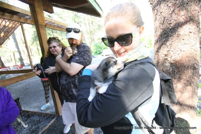 Everyone got to hold a puppy.