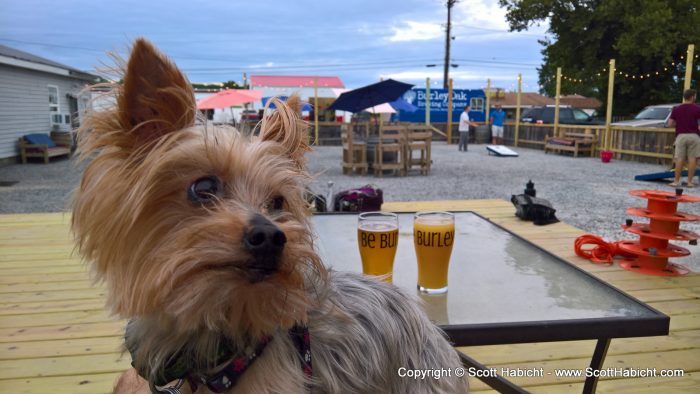 We swung by Burley Oak for a few sour beers.