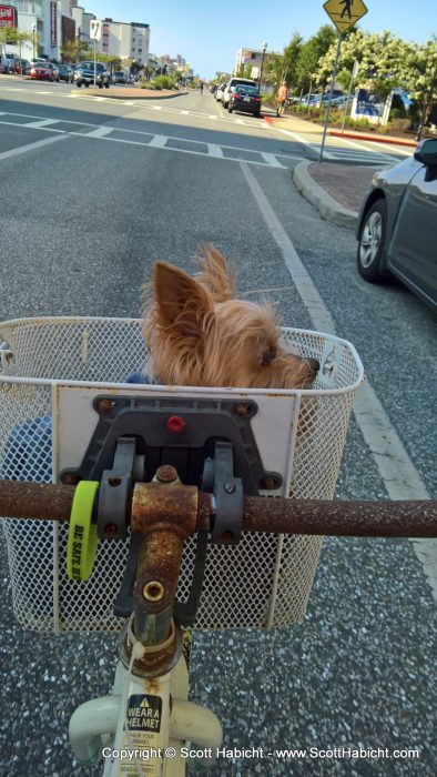 Another bike day, this time Riley came along.