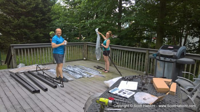 I've always wanted a covered area on the deck, and Molly talked me into buying one.