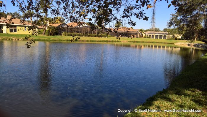 There house was on a pond that included an alligator, but we didn't see her