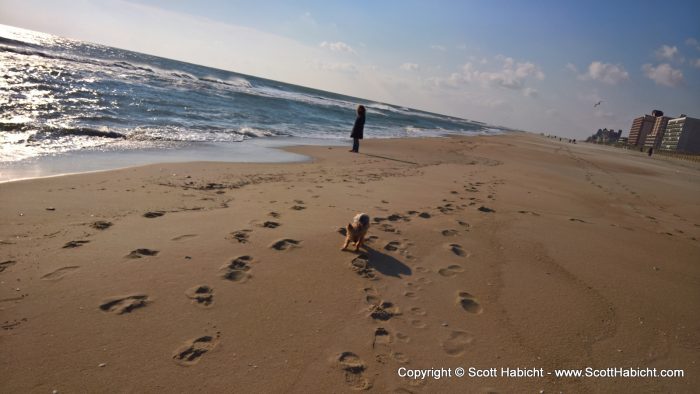 Riley loves the beach in the off-season.