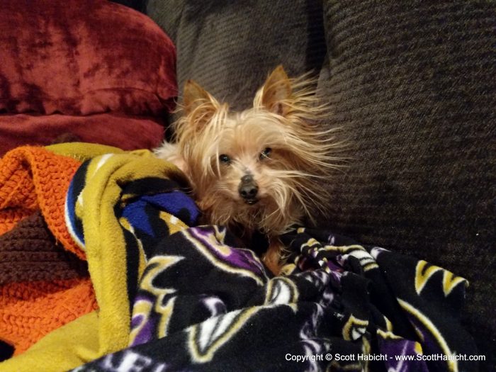 Static electricity.