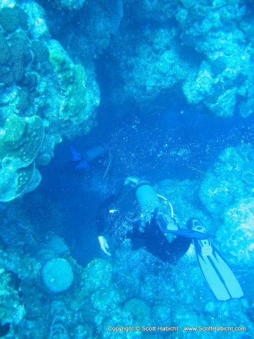 Our second dive included a trip through a small cave.