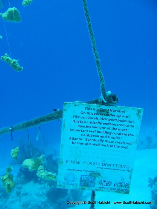 A coral nursery.