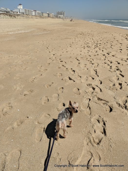 The next morning included a walk on the beach...