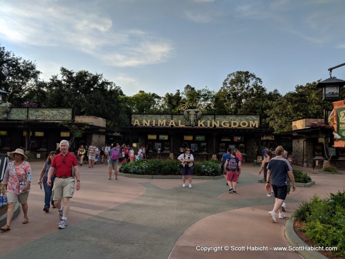 From there we headed to the Animal Kingdom.