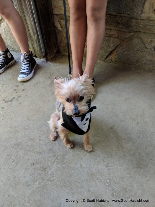 Riley wore a tux for the event.