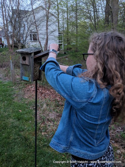 Cleaning out the bird box in hopes that we get bluebirds.