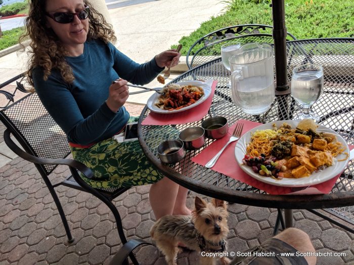 We did an indian food brunch one afternoon, and Riley was happy to join.