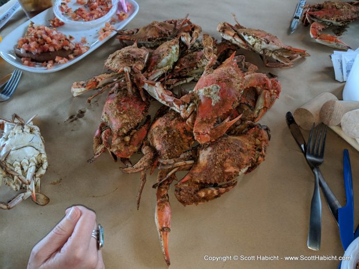 Out for my birthday with Peter and Molly for crabs!!!