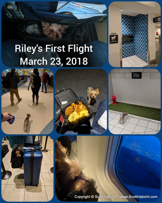 Molly and I were headed to New Mexico, and it was Riley's first time flying.