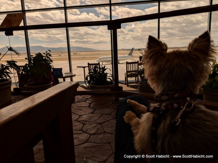 We got to the Albuquerque, New Mexico airport about an hour before Molly (she was coming from Kansas City, MO).