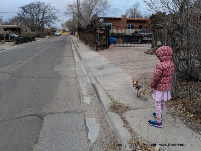 Riley out for a walk!