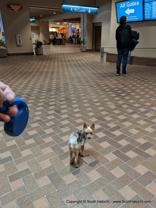 Riley didn't mind the airports...